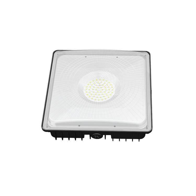 (CPSW) LED Canopy Lights